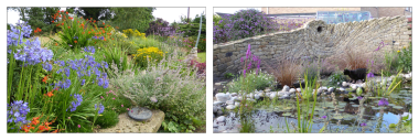 Yorkshire Garden Designer